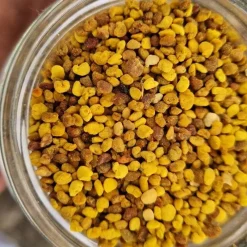Bee Polen | বি-পোলেন