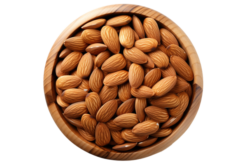 Almond | কাঠবাদাম